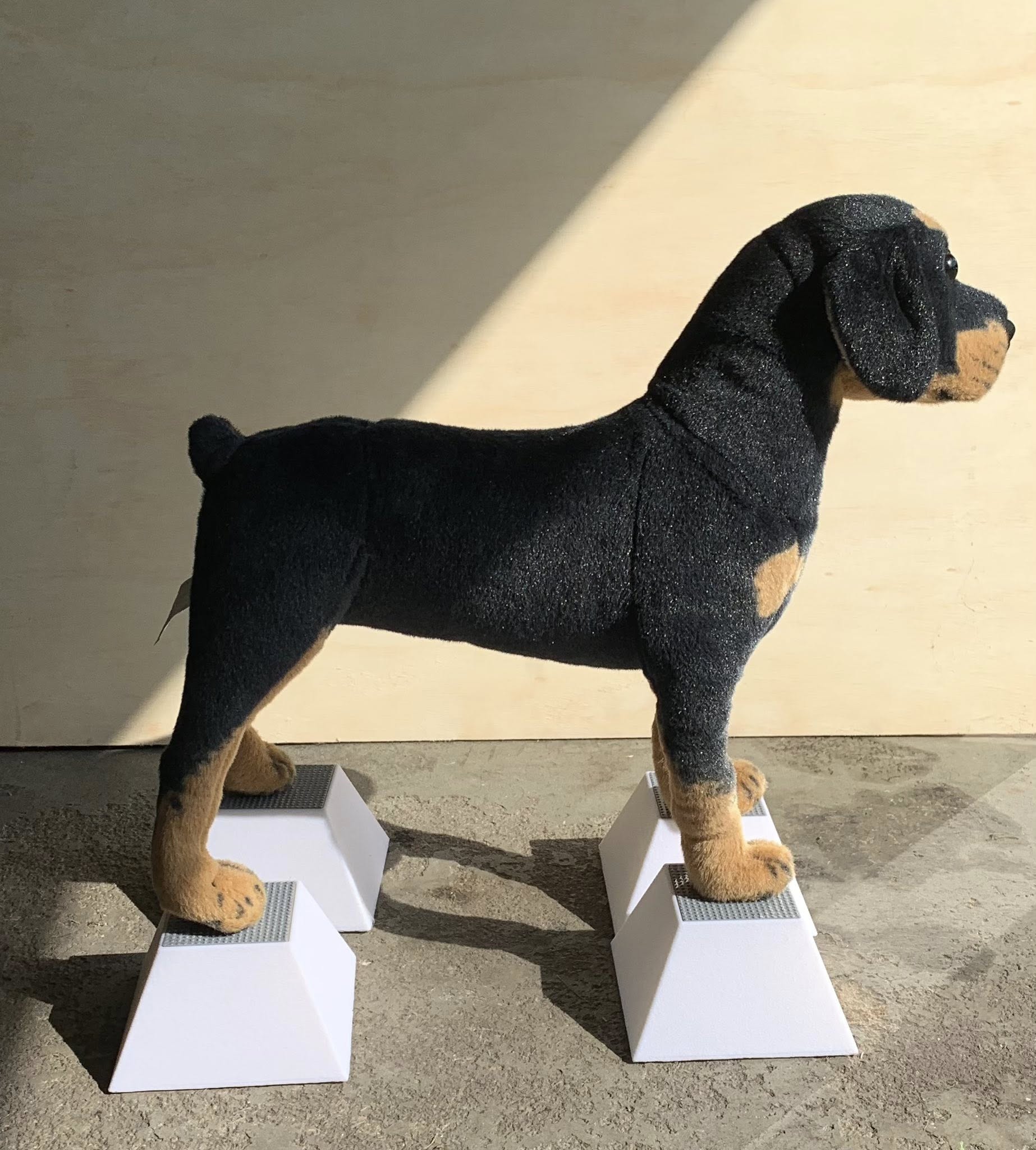 Conformation Dog Stacking Blocks for Large Breed Puppy