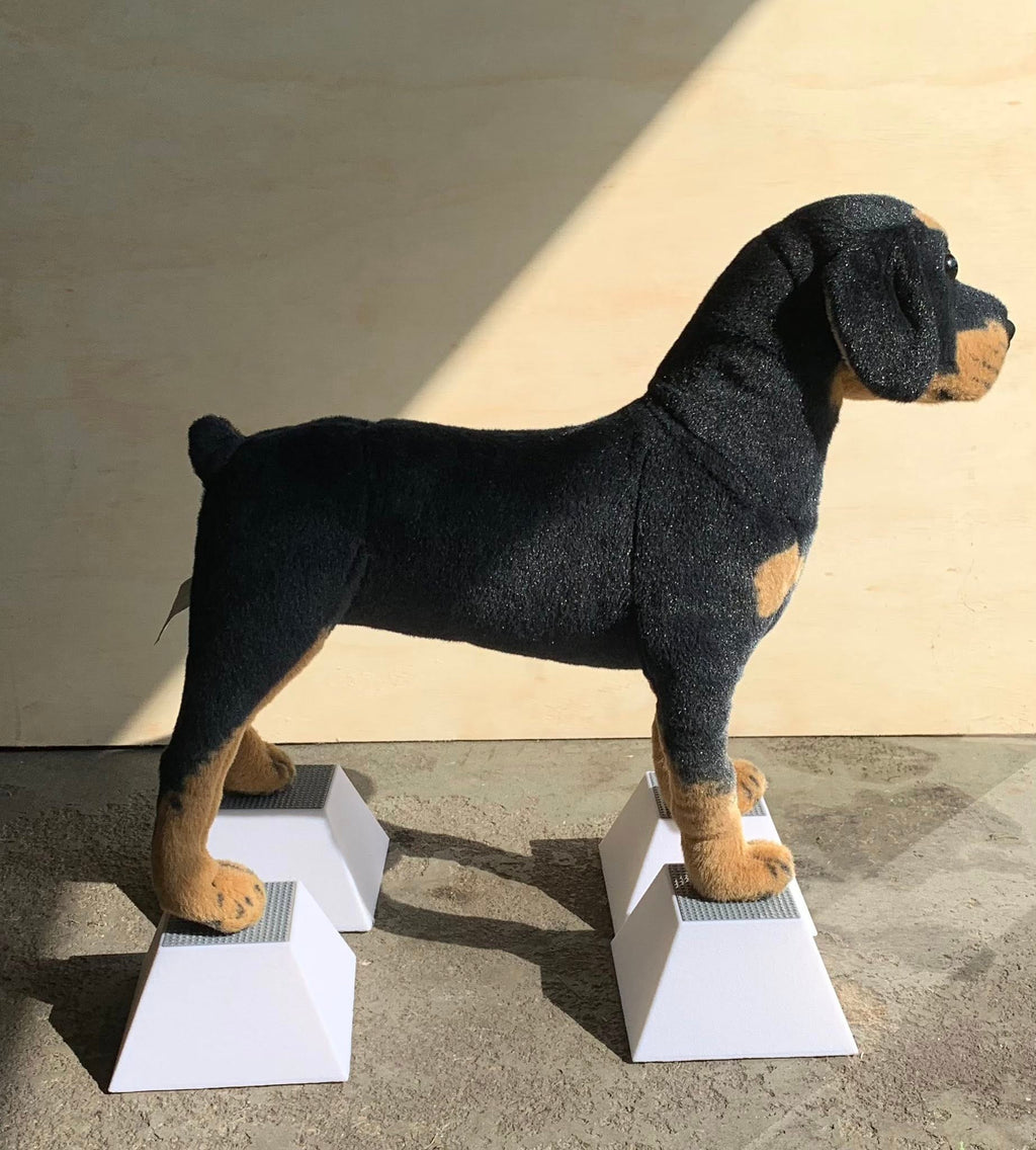 Conformation Dog Stacking Blocks for Large Breed Puppy