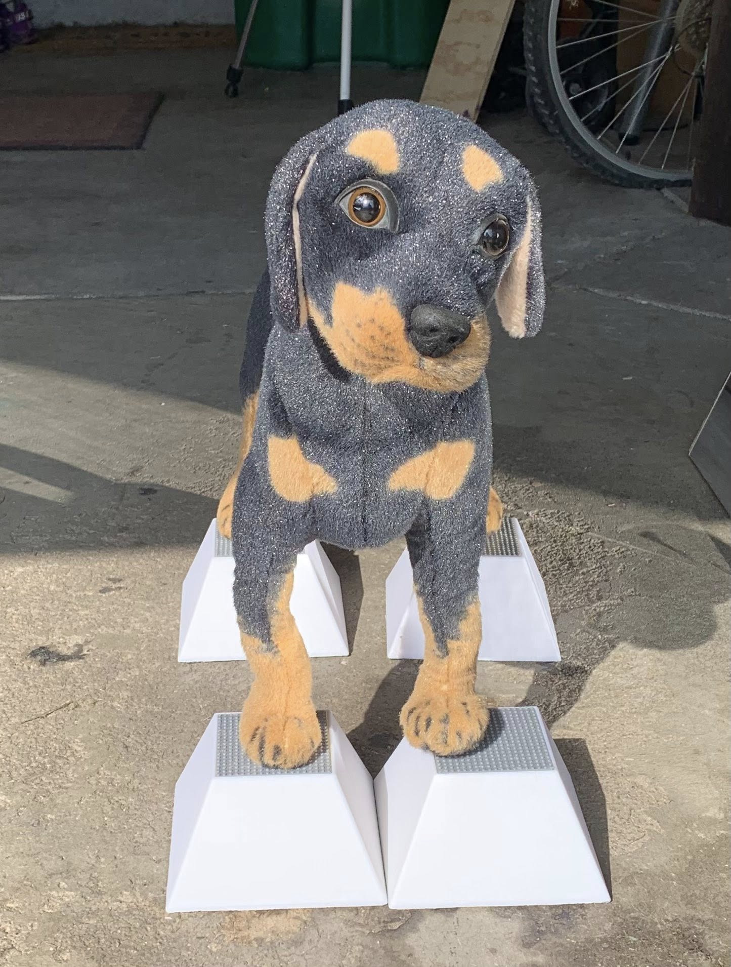 Conformation Dog Stacking Blocks for Large Breed Puppy