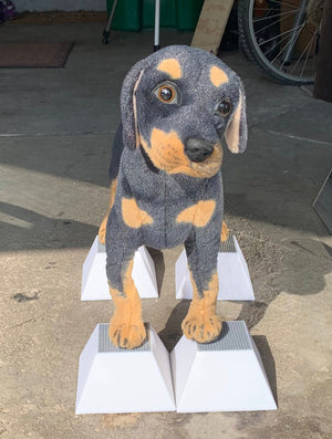 Conformation Dog Stacking Blocks for Large Breed Puppy